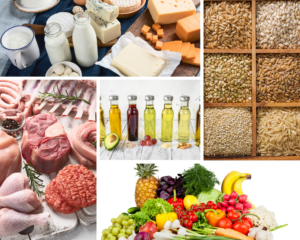 The image shows foods from the 5 basic food groups to include in a meal to ensure that it is balanced